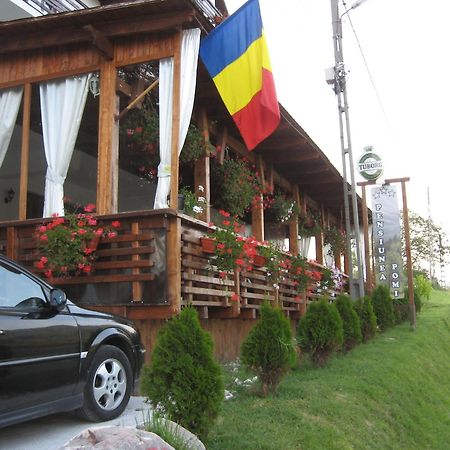 Pensiunea Pomi -Oesti Hotel Albestii Paminteni Buitenkant foto
