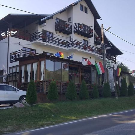 Pensiunea Pomi -Oesti Hotel Albestii Paminteni Buitenkant foto