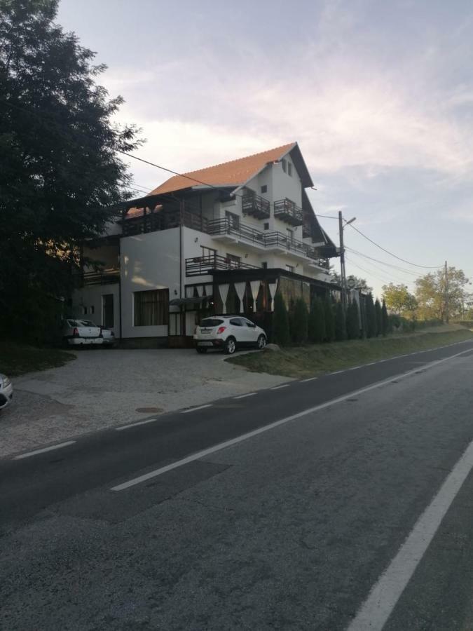 Pensiunea Pomi -Oesti Hotel Albestii Paminteni Buitenkant foto